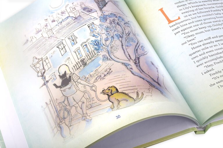 Hello, My Name is Bunny! London, an illustrated chapter book for children age 6+ and cat-lovers of every age