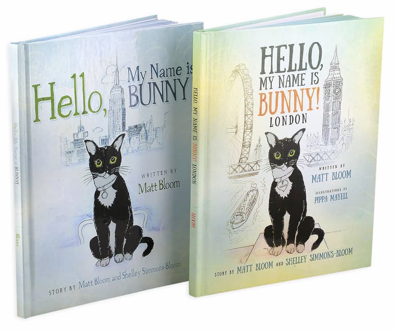 Hello Bunny Books about a cat