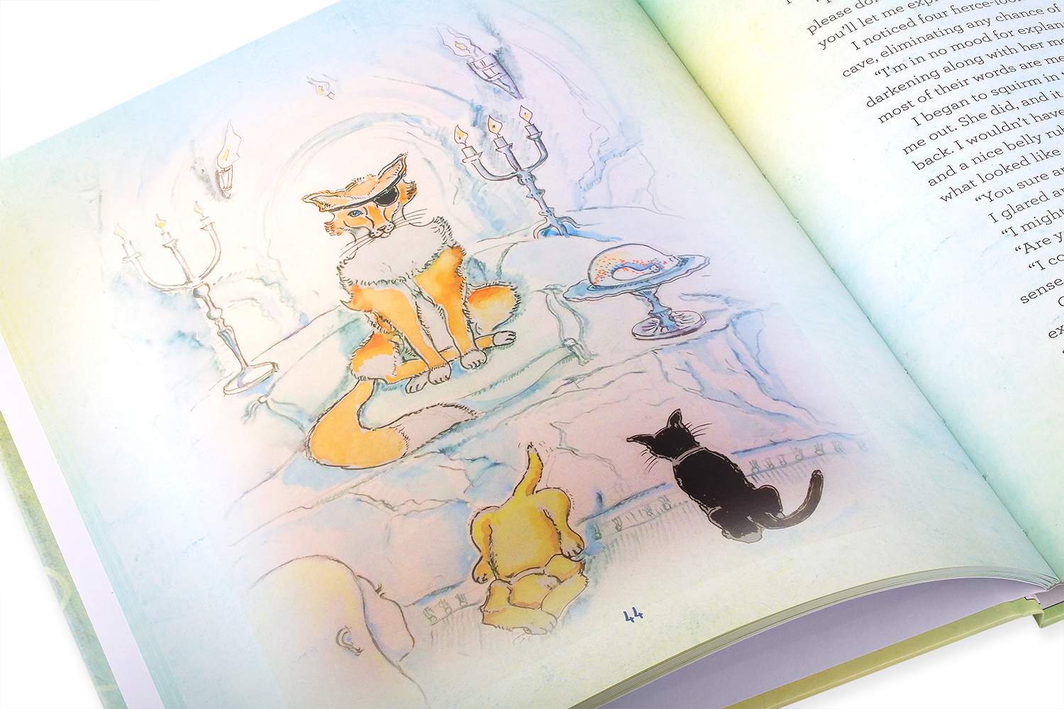 Hello My Name is Bunny Children's book series interior illustration