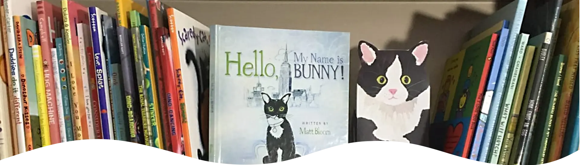 Hello My Name is Bunny London, Award Winning Children's Book Series Bookshelf